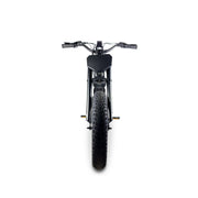 STACYC 20HDrive Class 2