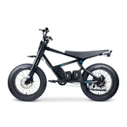 STACYC 20HDrive Class 2