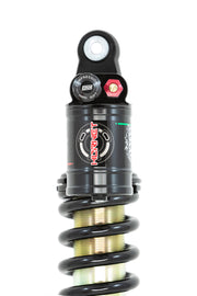 Adjustable Rear Shock & Front Fork Springs – KLX140 R & L