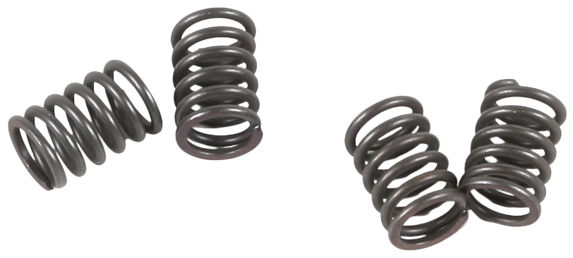 EBC CSK Spring Kit - XR/CRF80