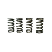 EBC Clutch Springs - KLX140