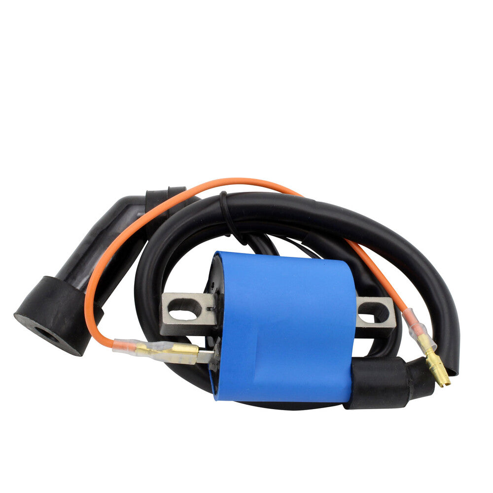 RM Stator Ignition Coil