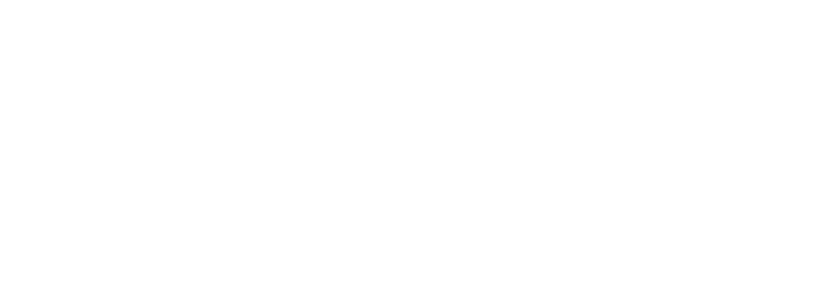 Faster-Minis