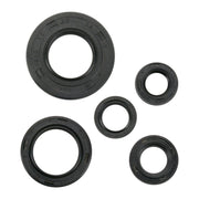 VERTEX OIL SEAL SET - TTR125