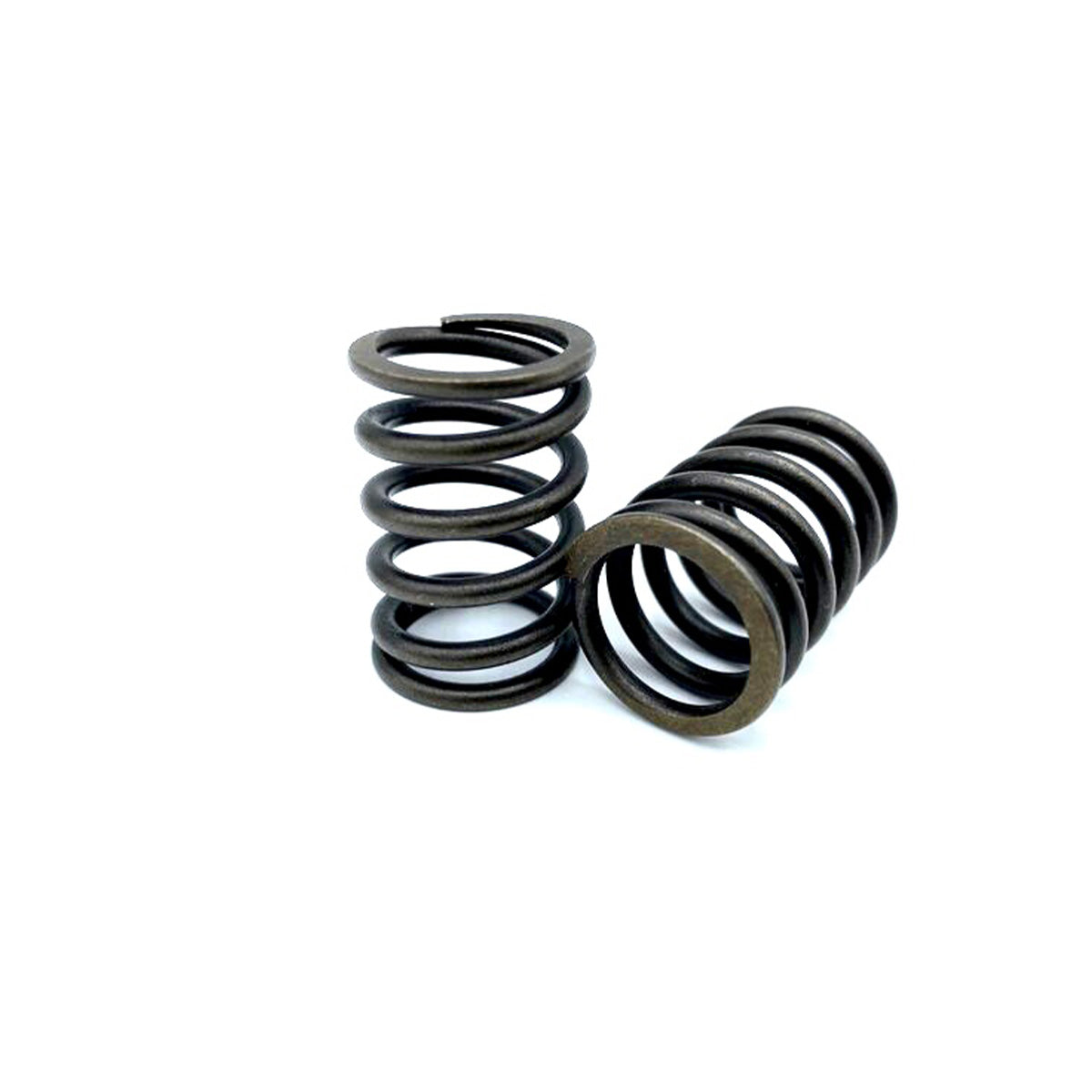 High Performance Valve Springs - TTR110