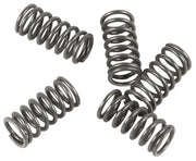 EBC Clutch Spring Set - CRF150F