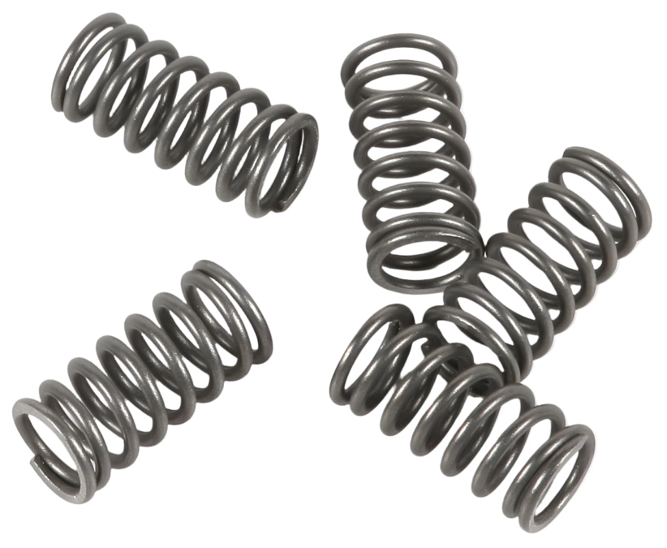 EBC Clutch Spring Set - CRF150F