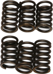 EBC Clutch Springs - XR/CRF100