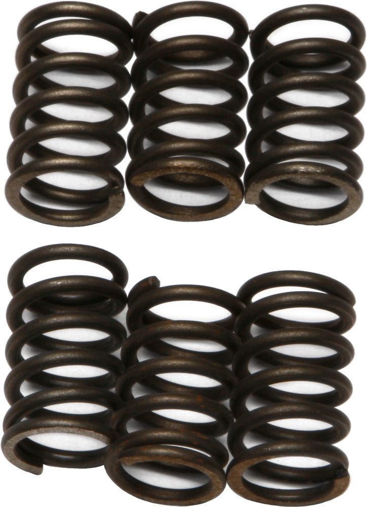 EBC Clutch Springs - XR/CRF100