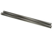 BBR Fork Springs - CRF230F, 03-Present