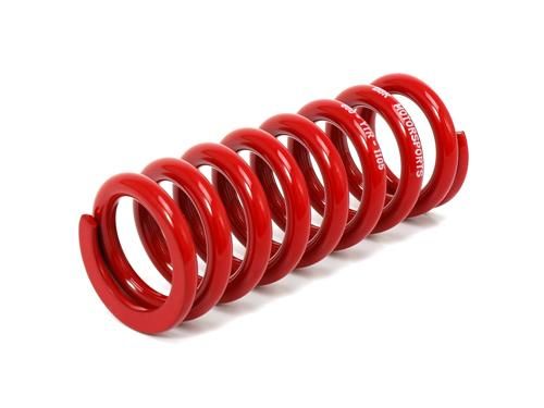 BBR Shock Spring TTR110