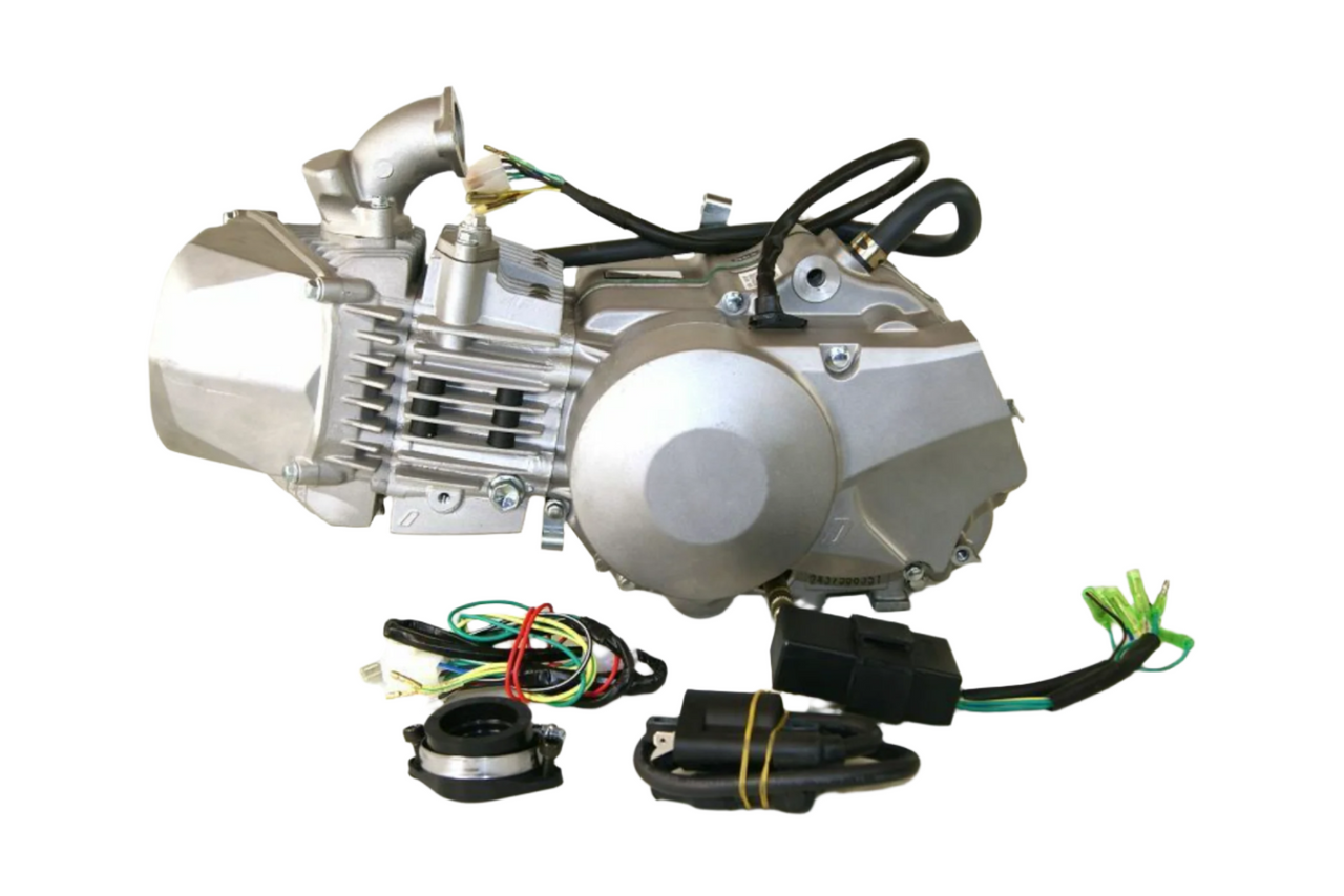 DAYTONA Anima 190cc FLX ENGINE