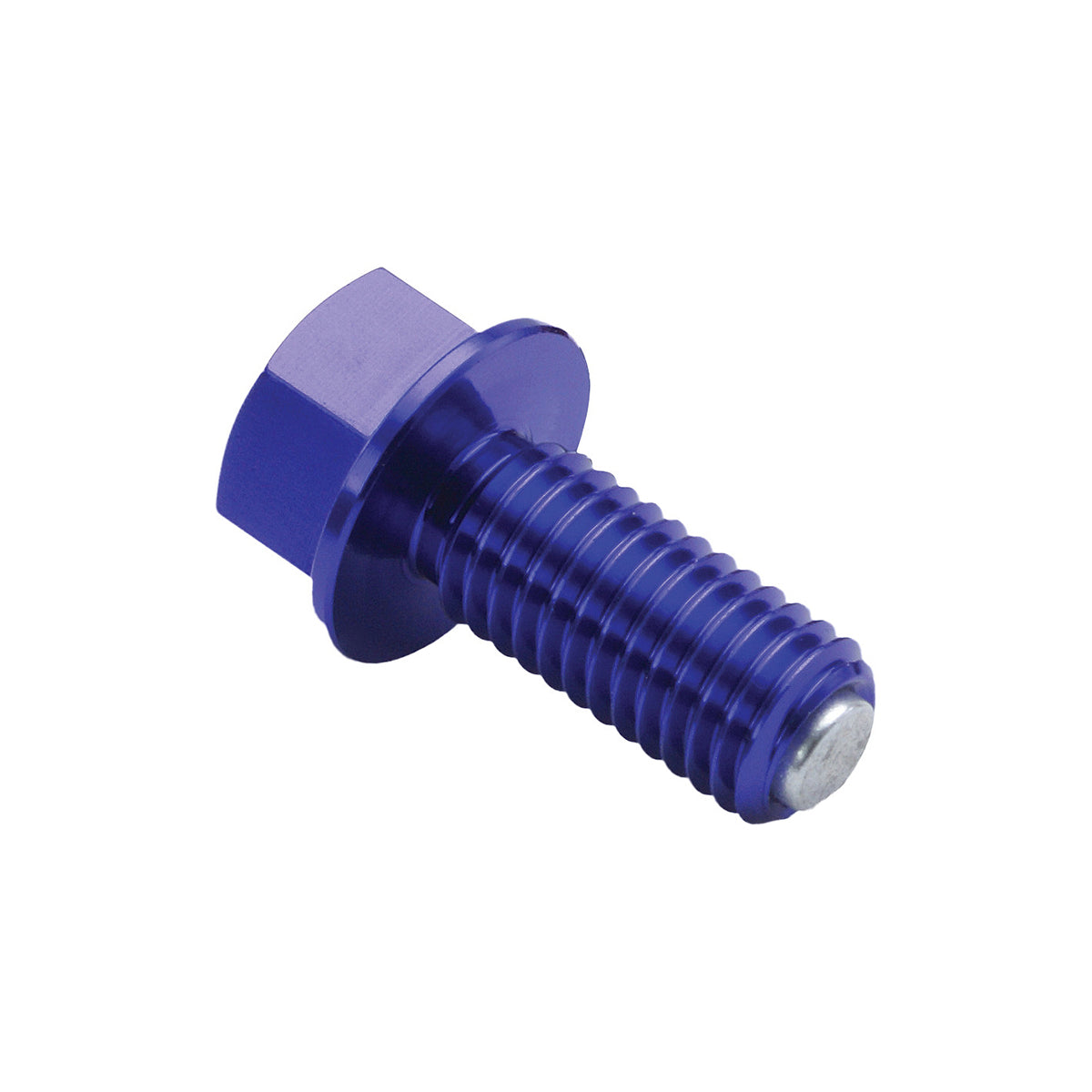 Zeta Magnetic Drain Bolt