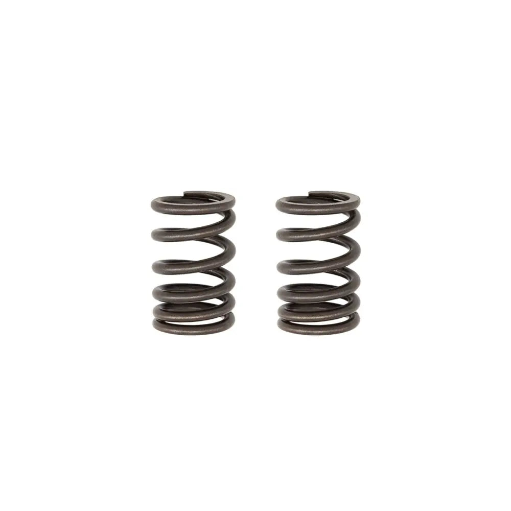 TB Valve springs, HD – KLX140