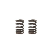 TB Valve springs, HD – KLX140
