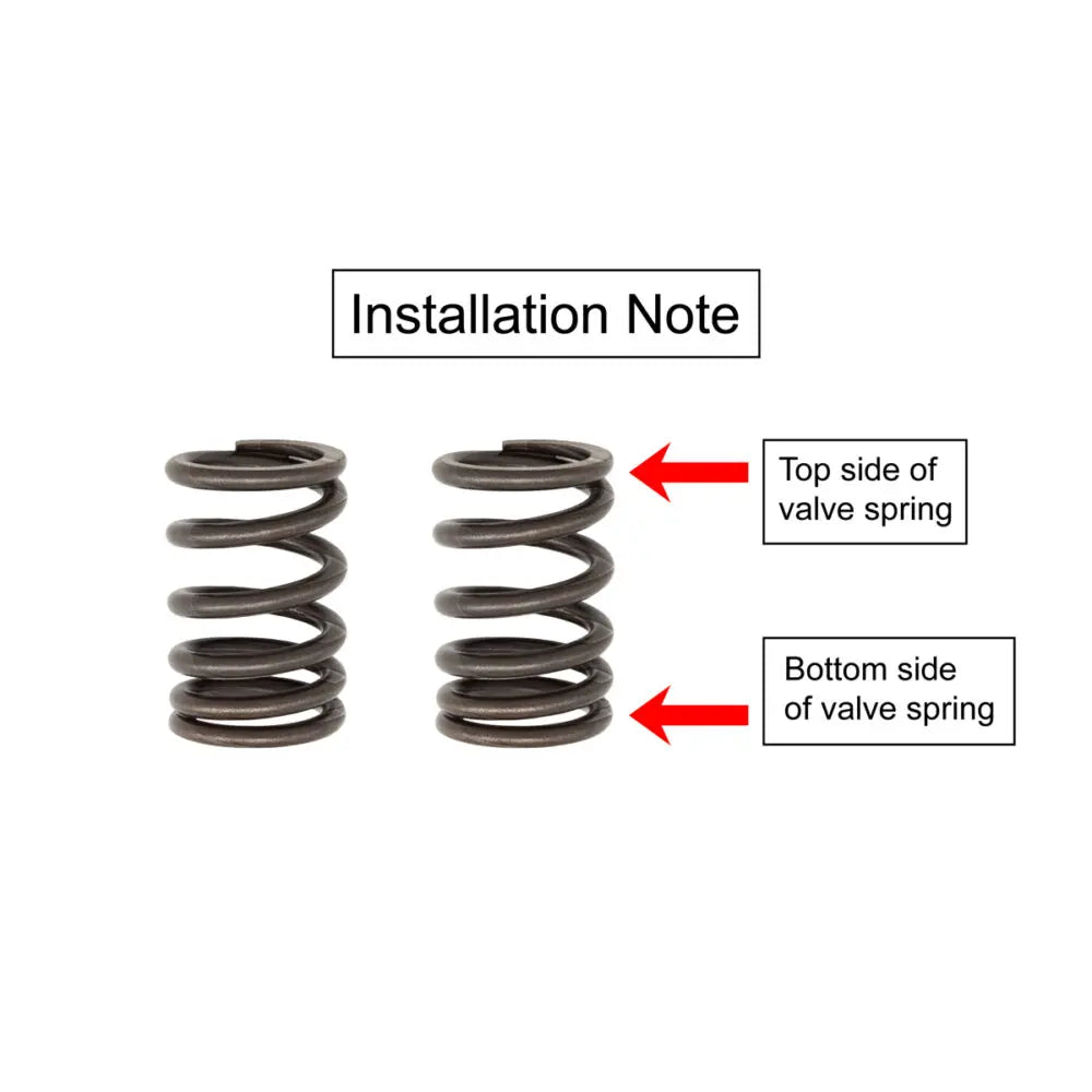 TB Valve springs, HD – KLX140