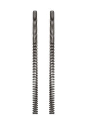 TB Fork Spring Set, HD – CRF125