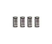 TB Clutch Springs, HD Racing – KLX140