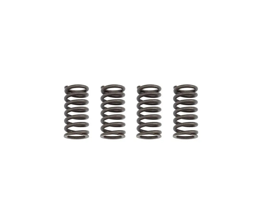 TB Clutch Springs, HD Racing – KLX140