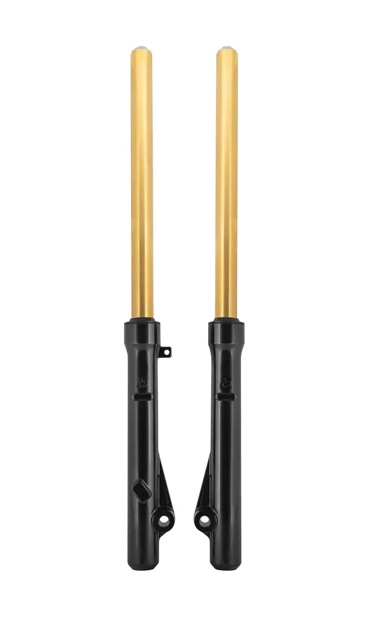 TB Fork Assembly Set, Extended, HD springs & Gold TiN Coated uppers – CRF110