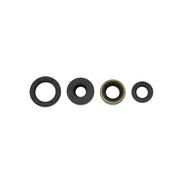 TB Oil Seal Kit