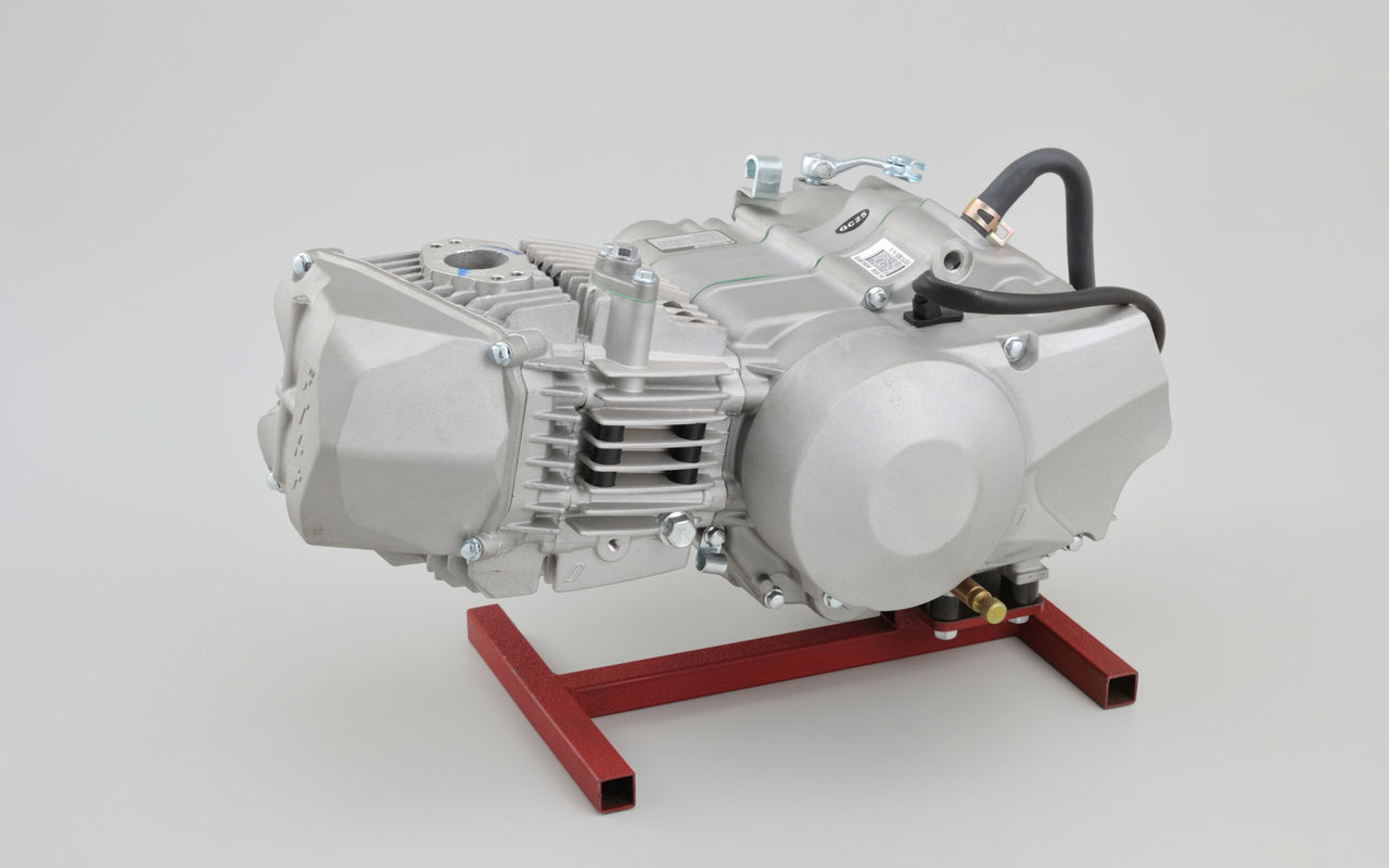 DAYTONA Anima 190cc FDX ENGINE