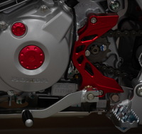 FM Shift Shaft Brace & Sprocket Guard - CRF125F