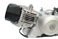 Daytona Anima 190 Electric Start engine